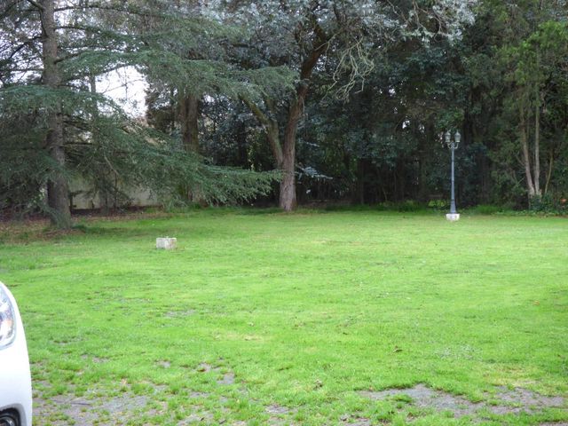place photo 37