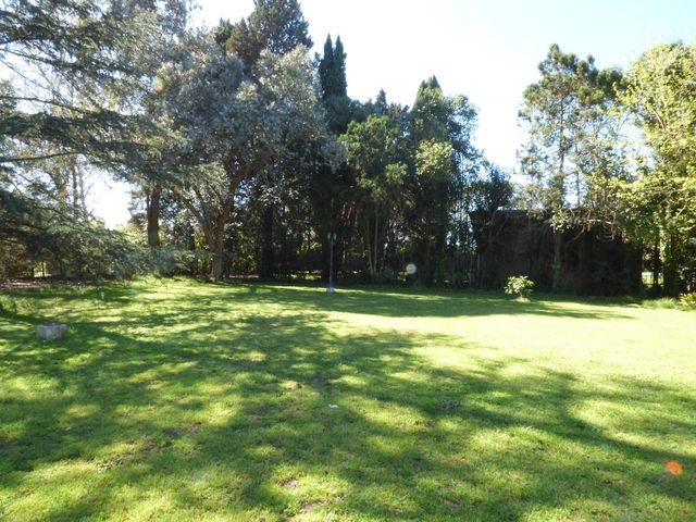 place photo 35