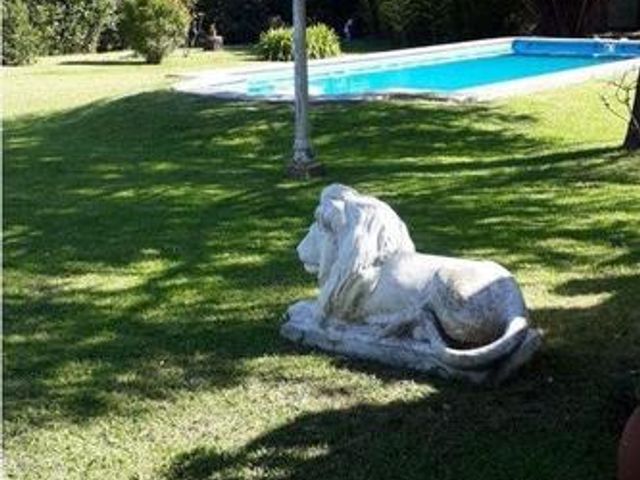place photo 39