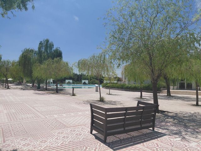 place photo 66