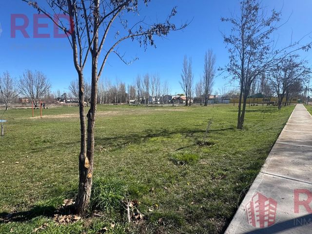 place photo 76