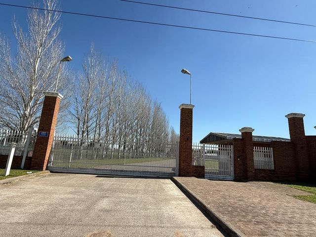 place photo 26