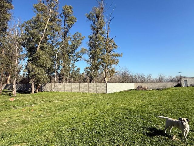place photo 23