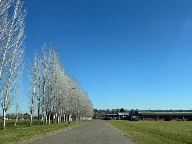 place photo 28