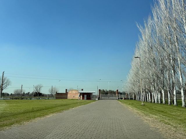 place photo 25