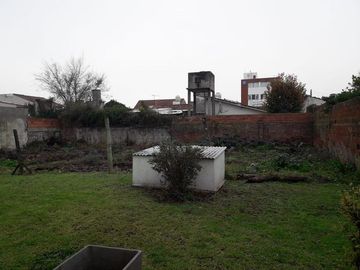 place photo 12