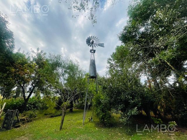 place photo 32