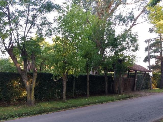 place photo 25