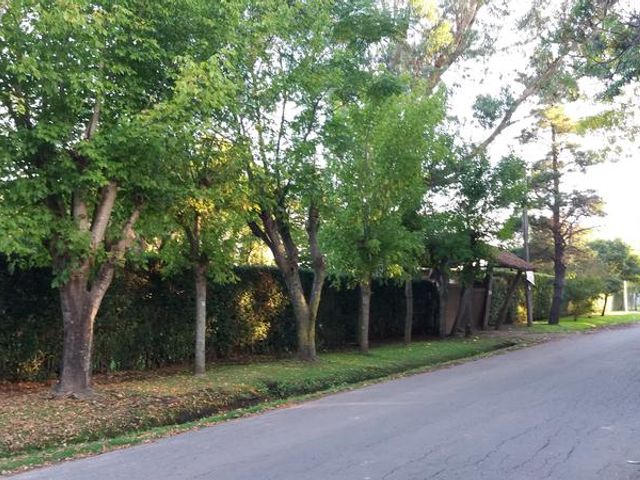 place photo 27