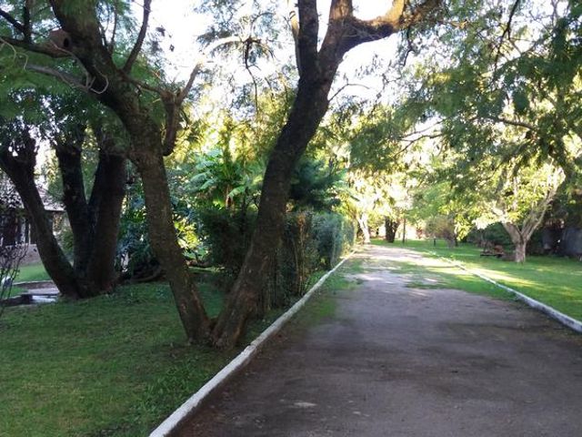 place photo 22