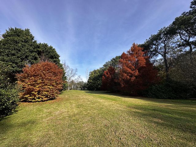 place photo 35