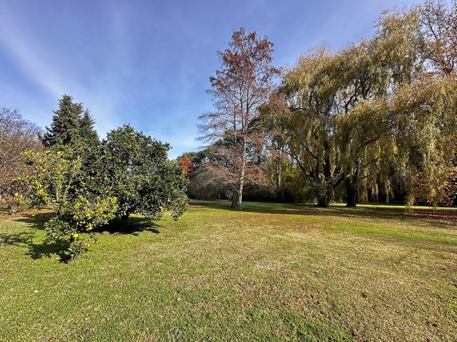 place photo 41