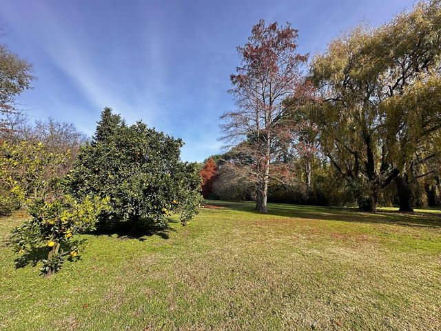 place photo 40