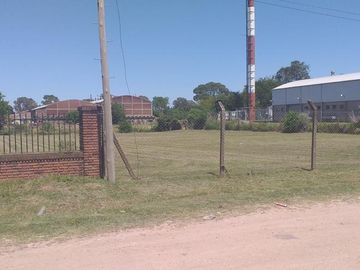 place photo 3