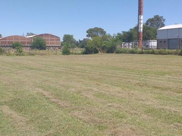 place photo 4