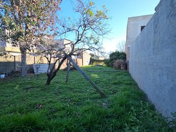place photo 21