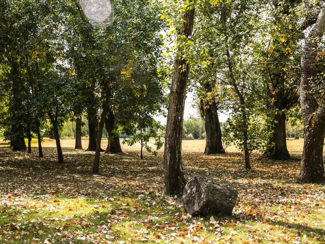 place photo 49