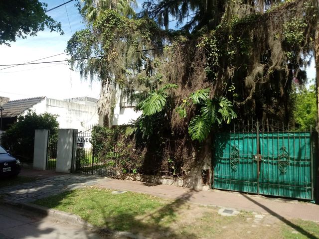place photo 18