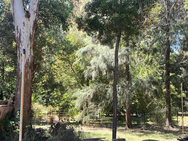 place photo 32