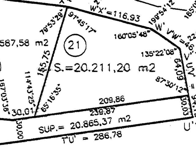 place photo 33