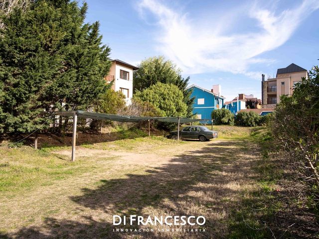 place photo 44