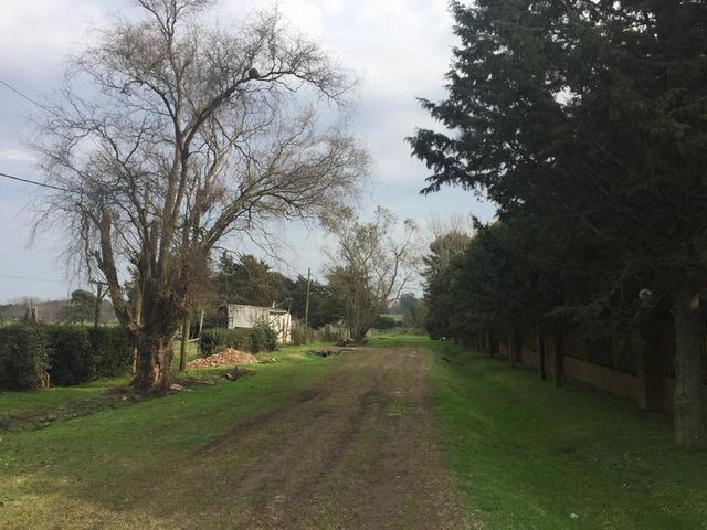 place photo 4
