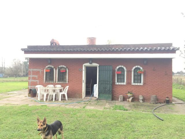 place photo 18