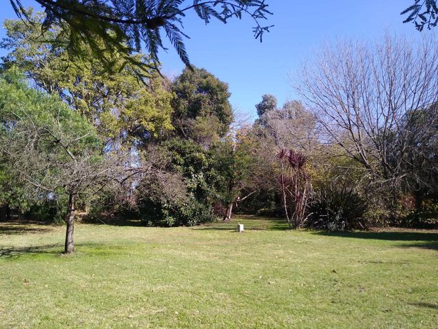 place photo 41