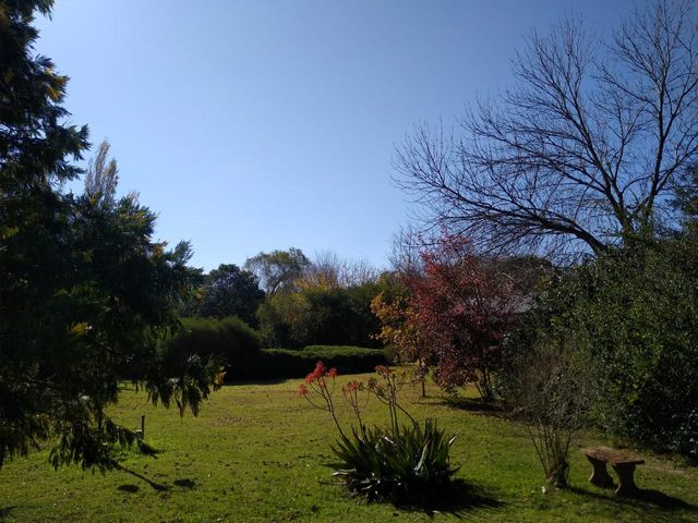 place photo 42
