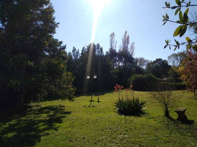 place photo 48