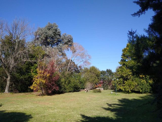 place photo 44