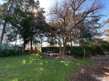 place photo 37