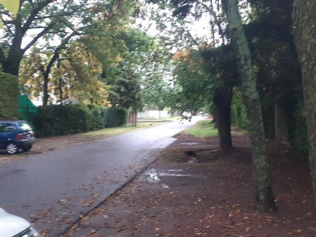 place photo 37