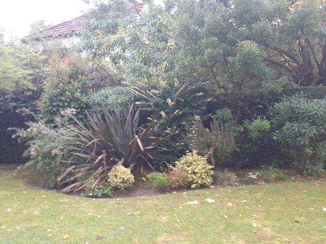 place photo 30