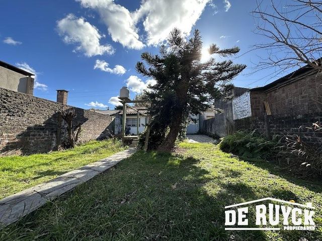 place photo 21