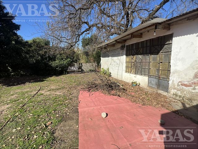 place photo 10