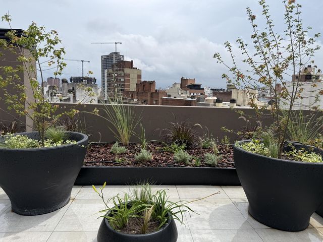 place photo 30