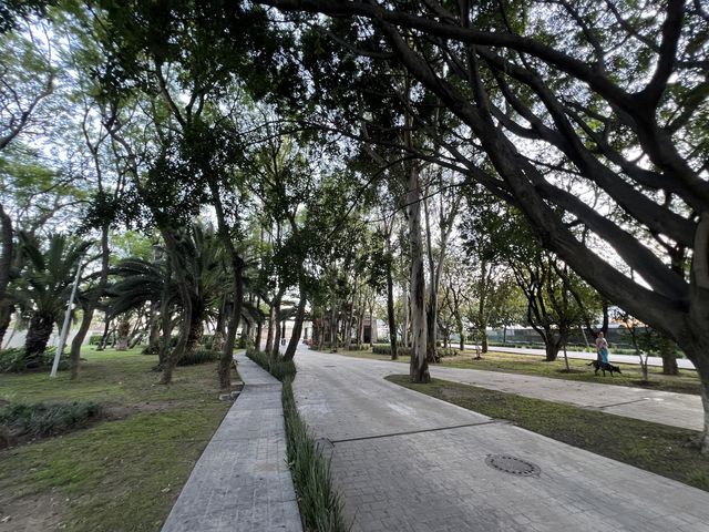 place photo 29