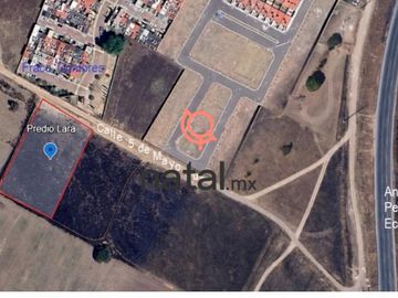 place photo 9