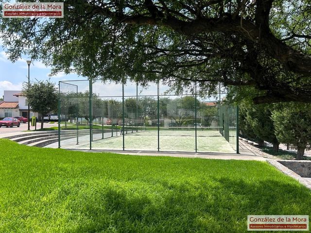 place photo 52