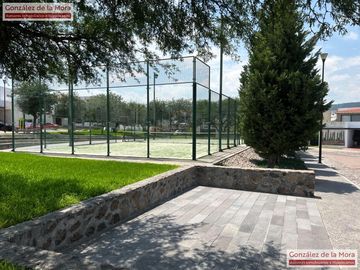 place photo 53