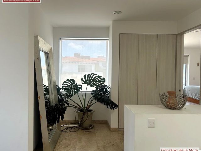 place photo 39