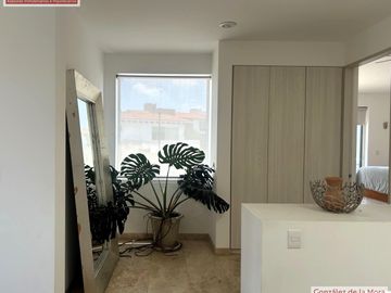 place photo 39