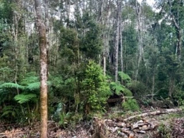 place photo 23