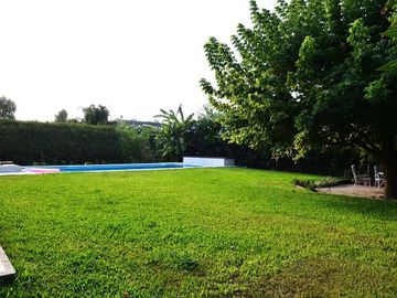 place photo 39