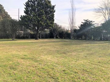 place photo 25