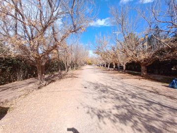 place photo 45