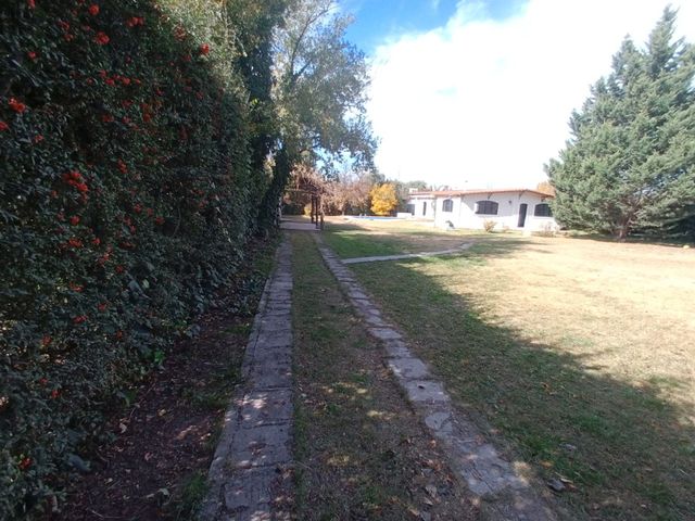 place photo 44