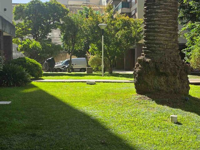 place photo 31