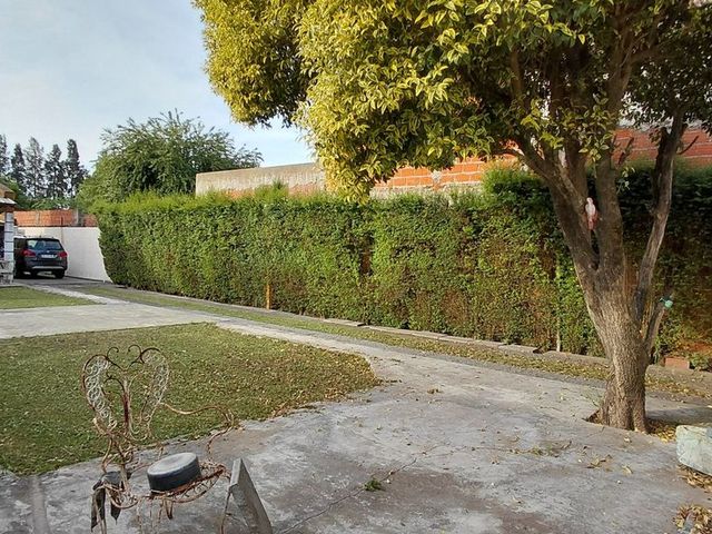 place photo 38